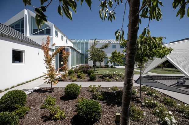 A bright contemporary residential courtyard viewed from a landscaped garden. White rendered buildings with crisp geometric forms surround the space, including a glazed connector or atrium, large angular windows, and corrugated metal roofs. A sculptural triangular-roofed outdoor structure sits to the right over a paved area. The foreground features low-maintenance planting beds, clipped shrubs, young trees, and paved walkways under a clear blue sky.