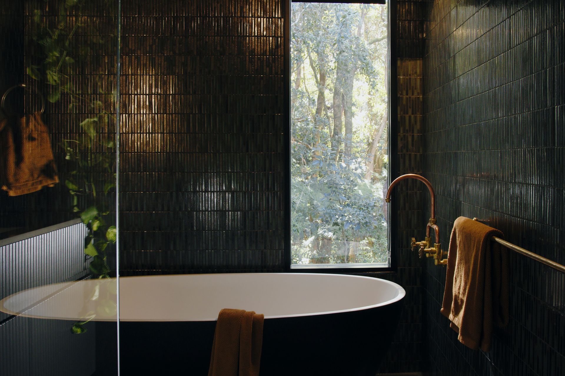 Cloudview Springbrook