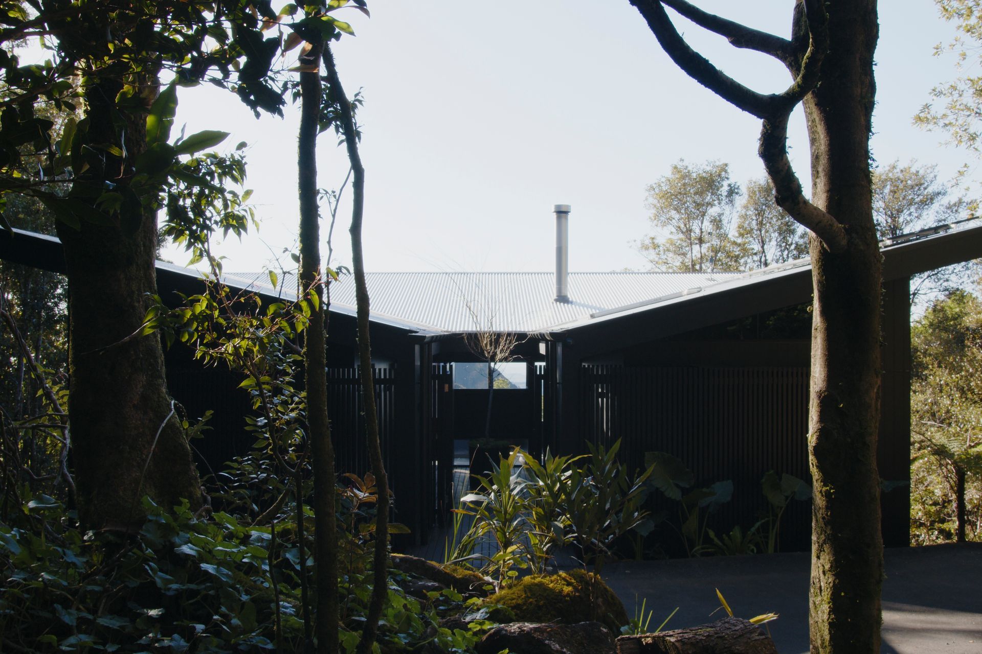 Cloudview Springbrook