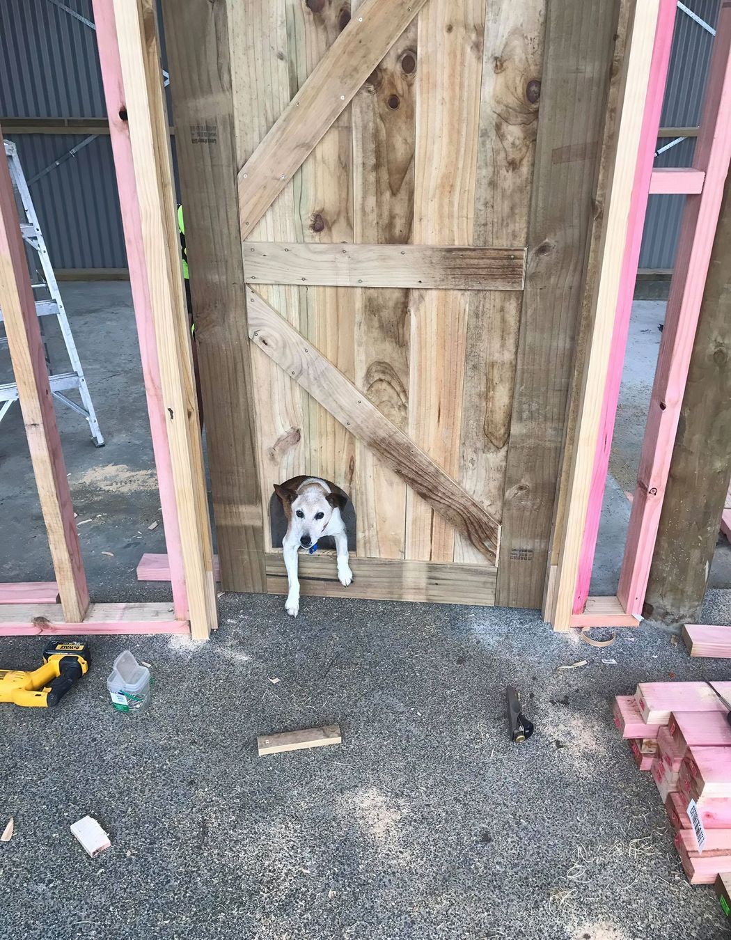 3 Bay Shed / Horse Stables