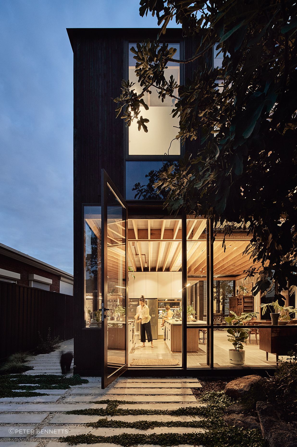 Harry House