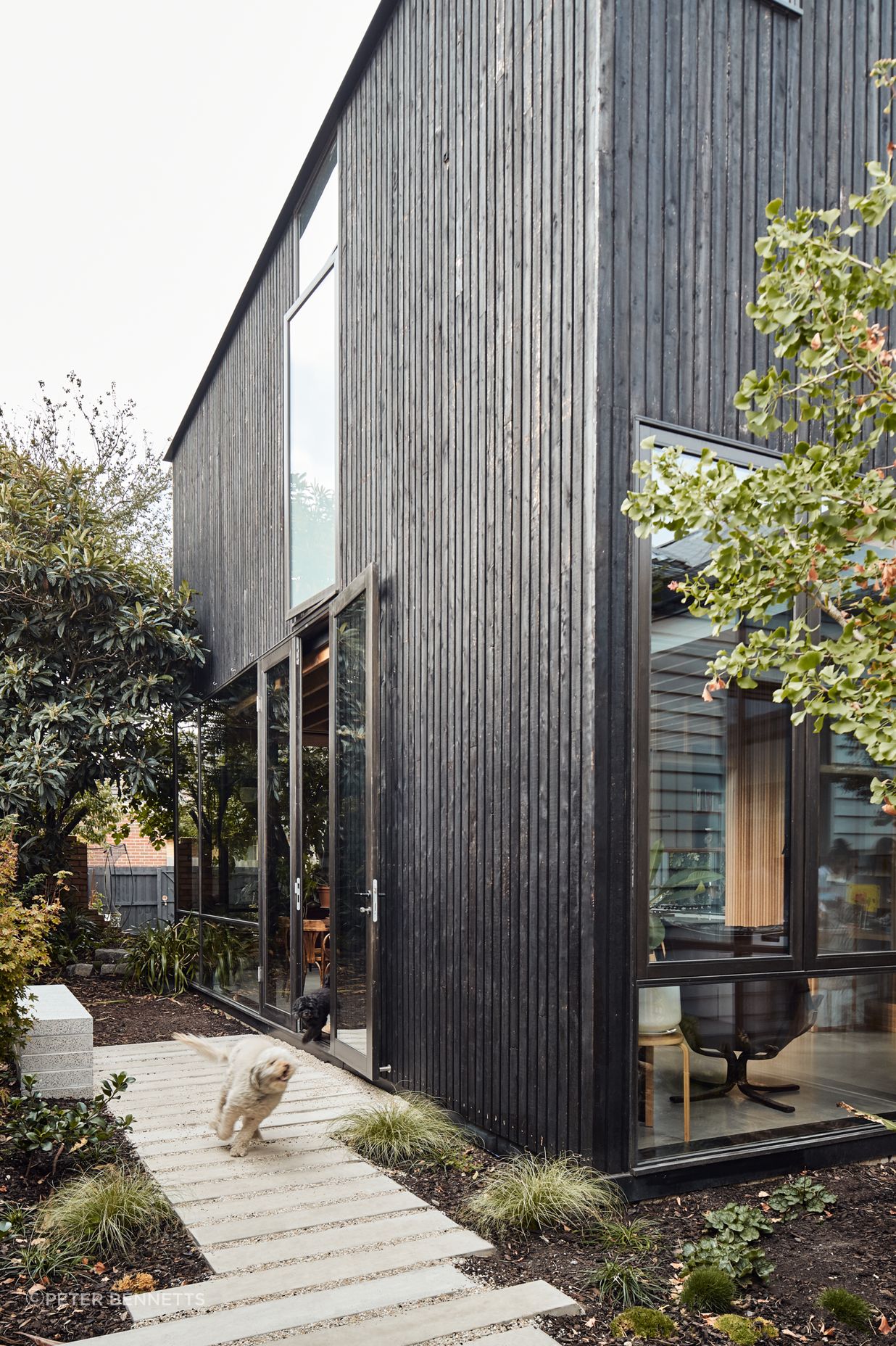 Harry House
