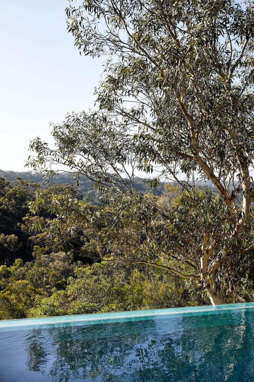 HornsbyHeights-27112020-32-min.jpg