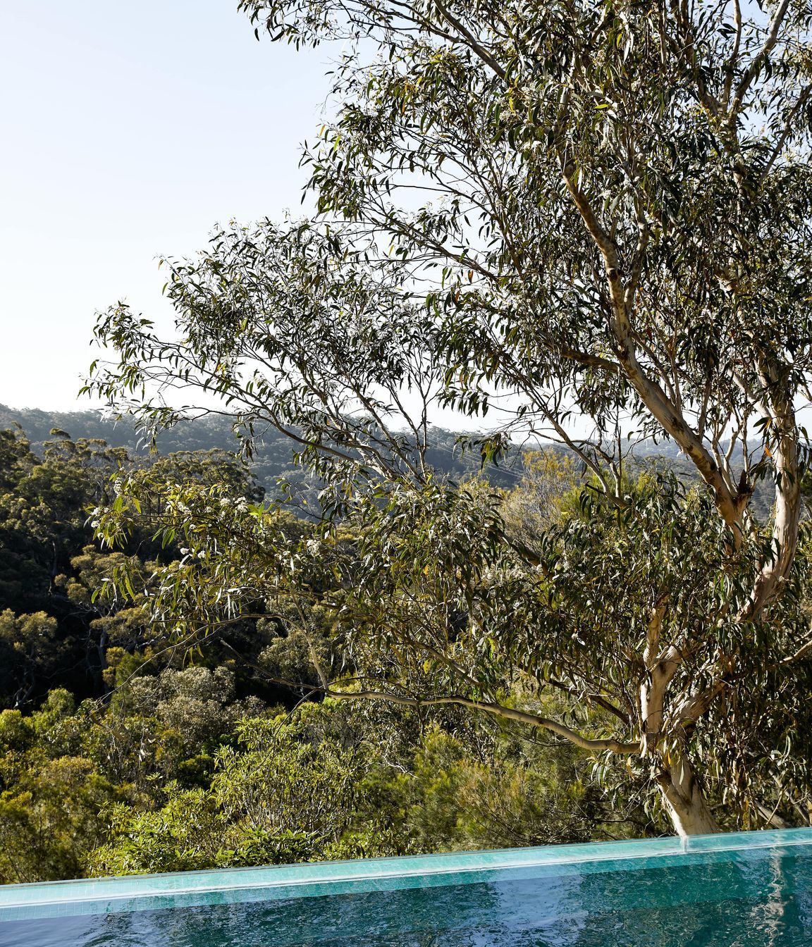 HornsbyHeights-27112020-32-min.jpg