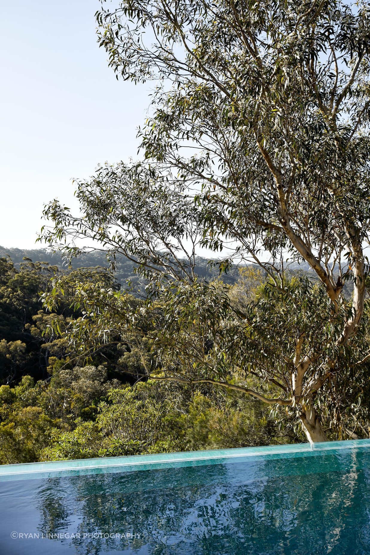 HornsbyHeights-27112020-32-min.jpg