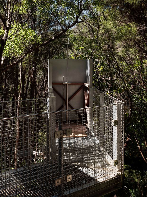 An elevated outdoor metal platform and narrow walkway enclosed by wire-mesh safety fencing, surrounded by dense woodland. At the end is a small industrial-looking metal structure or enclosure with exposed diagonal bracing. The scene is strongly utilitarian and integrated into a wooded, elevated setting.