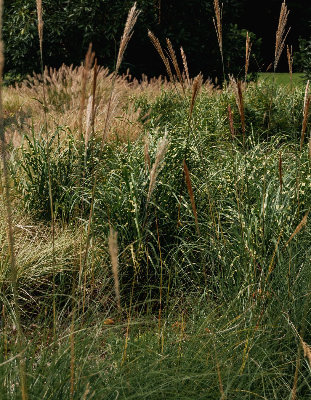 The Faithfull House & Garden