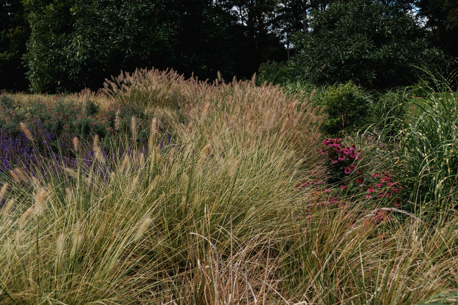 The Faithfull House & Garden
