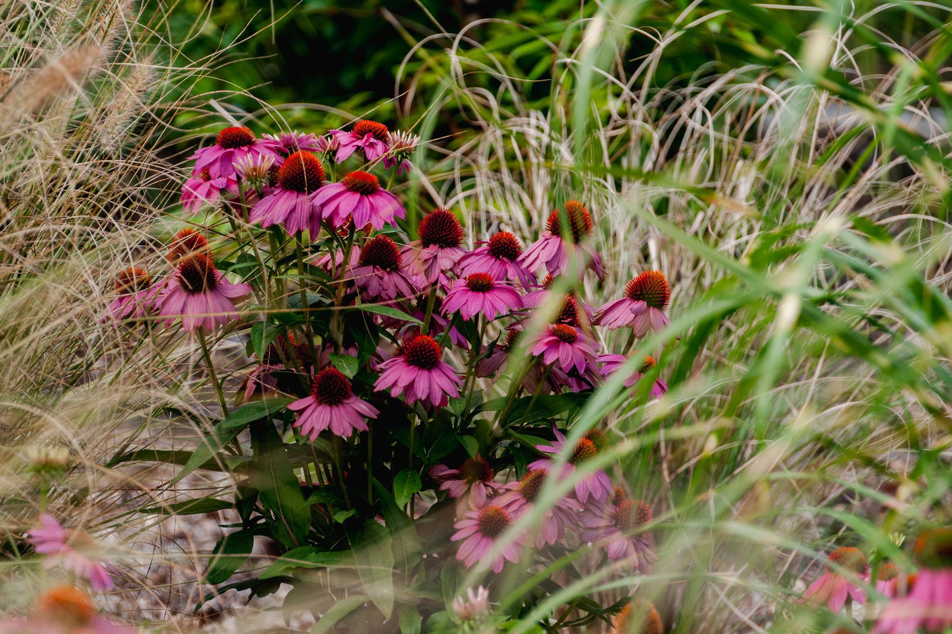 The Faithfull House & Garden