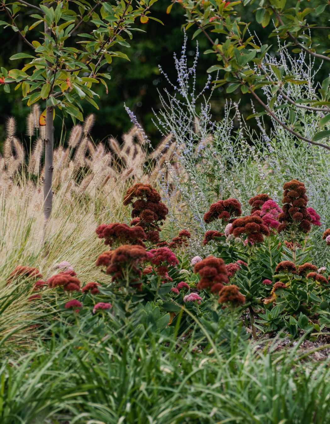 The Faithfull House & Garden