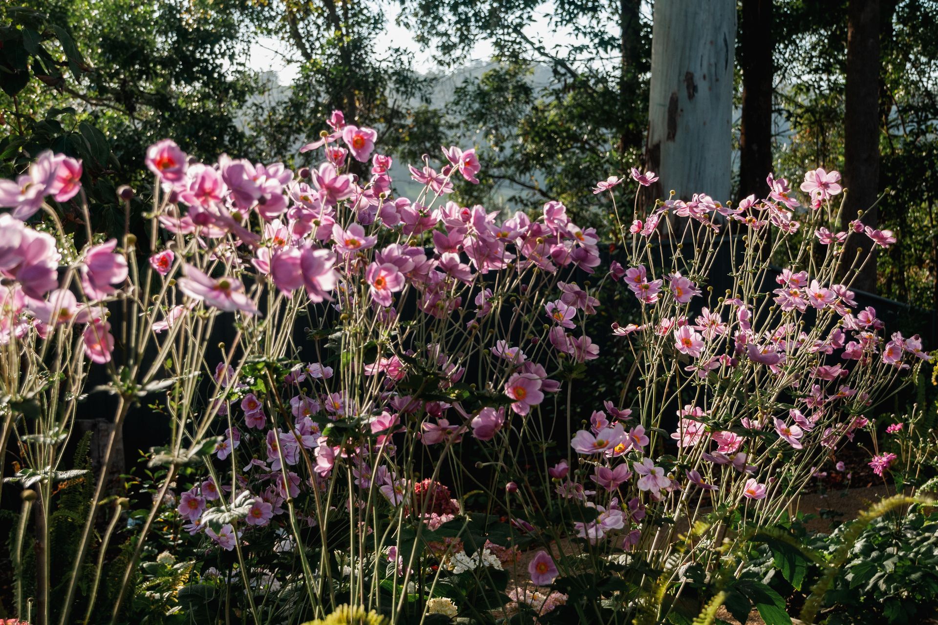 The Faithfull House & Garden