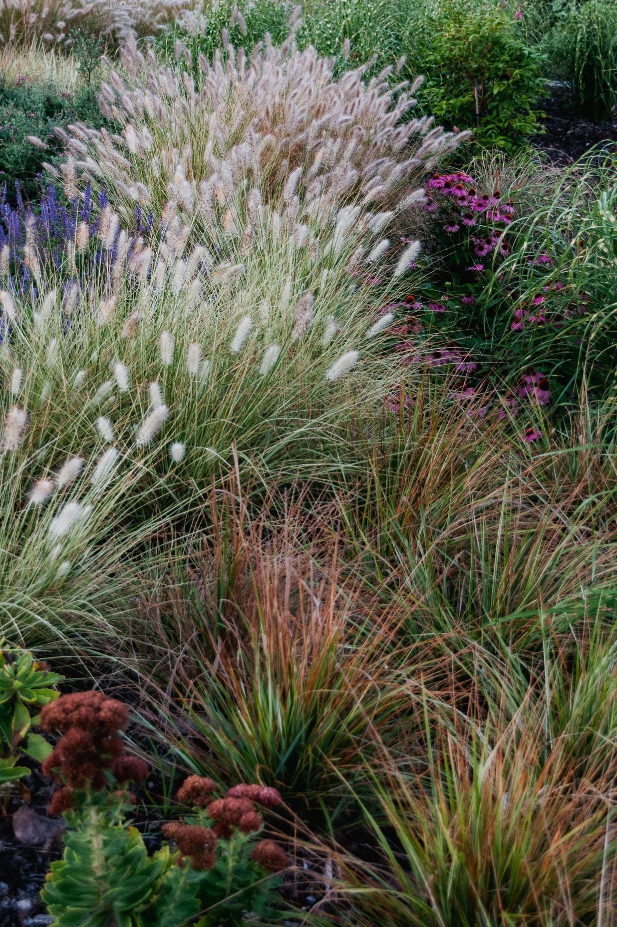 The Faithfull House & Garden