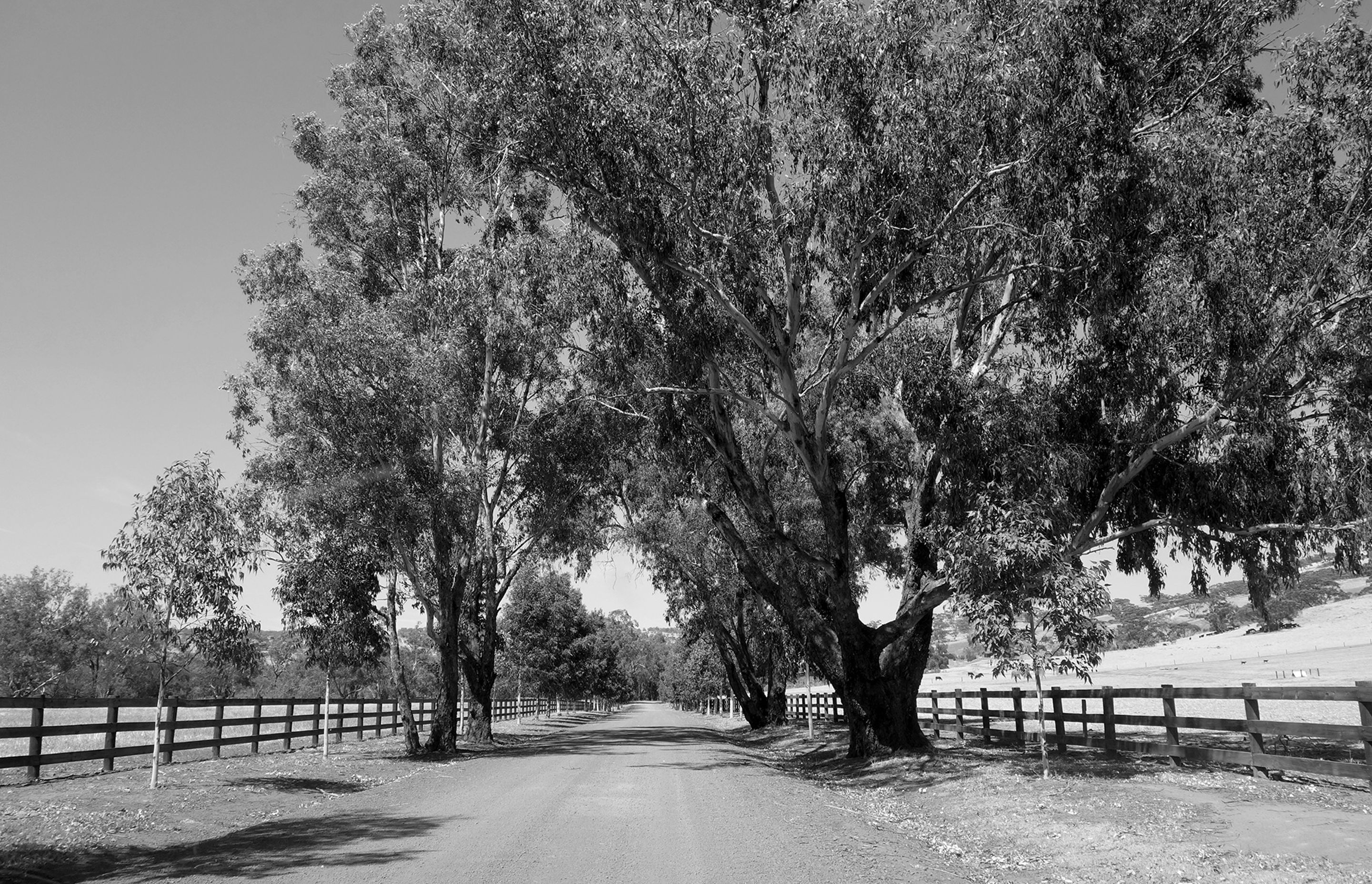 Avon Valley