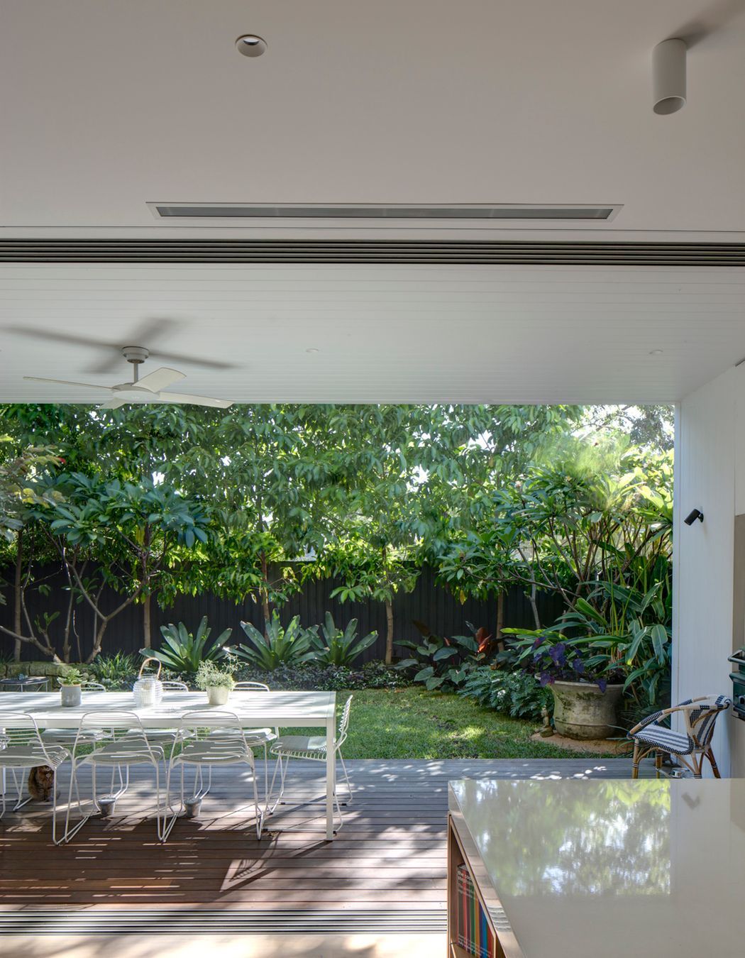 Framing the outlook of the garden.