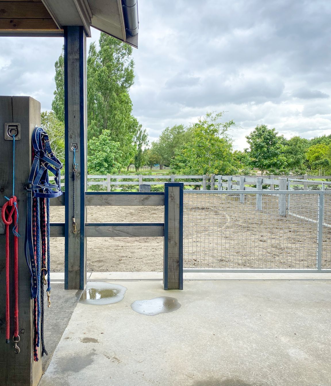 Karaka Country Stables
