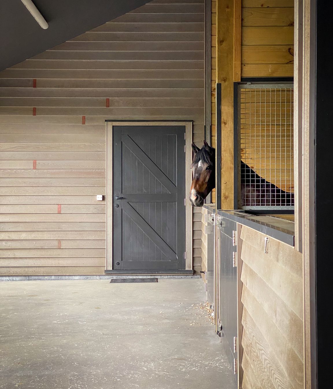 Karaka Country Stables