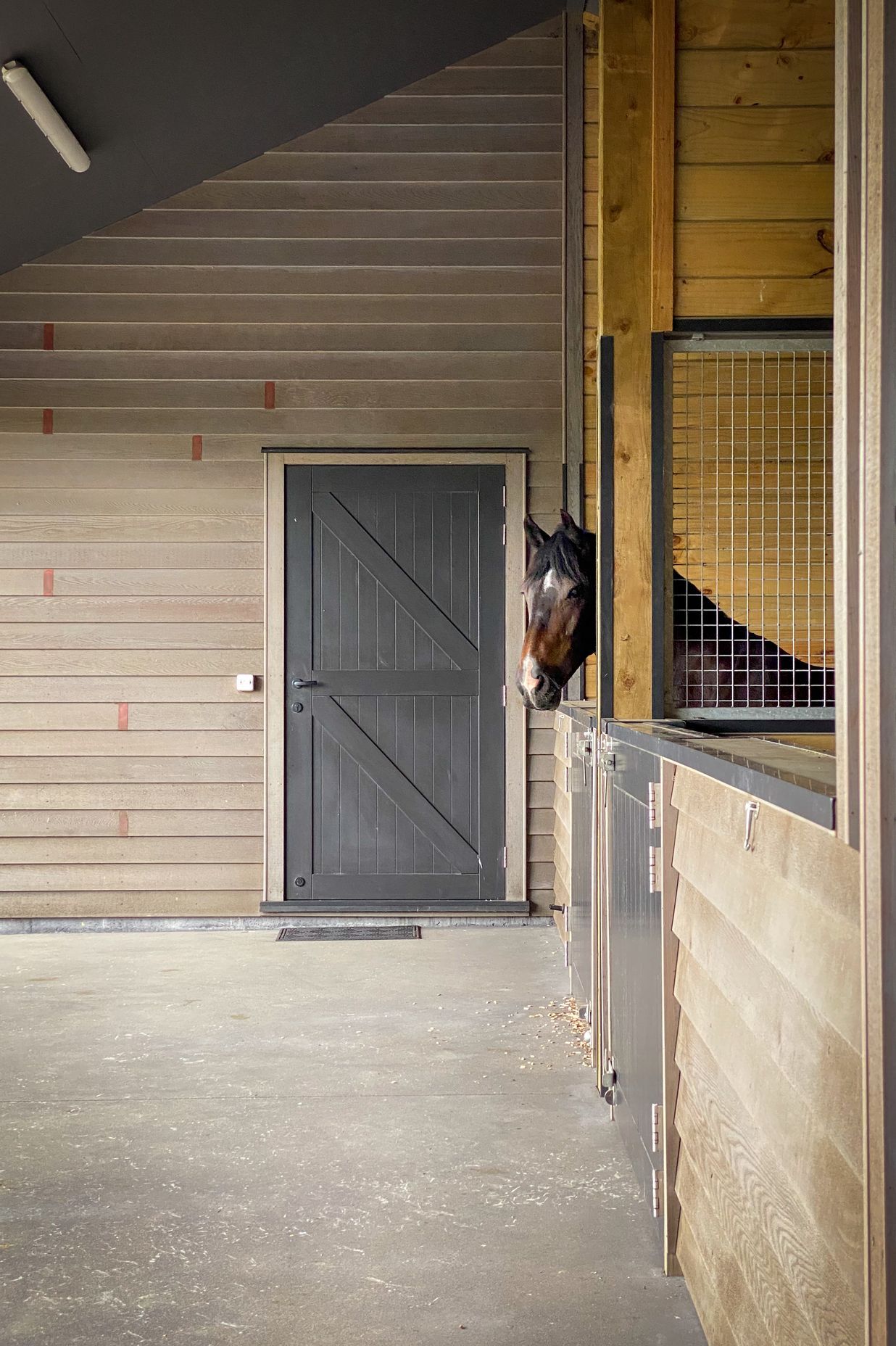 Karaka Country Stables