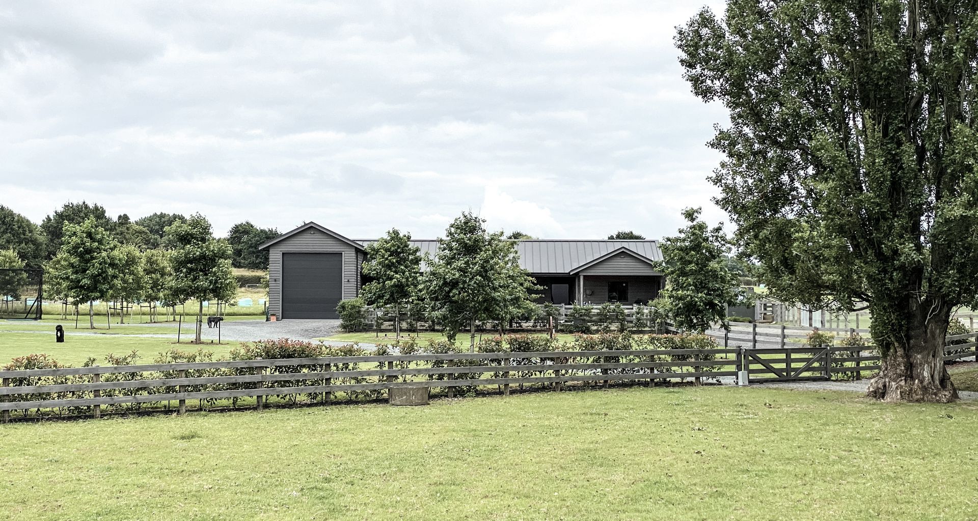 Karaka Country Stables banner