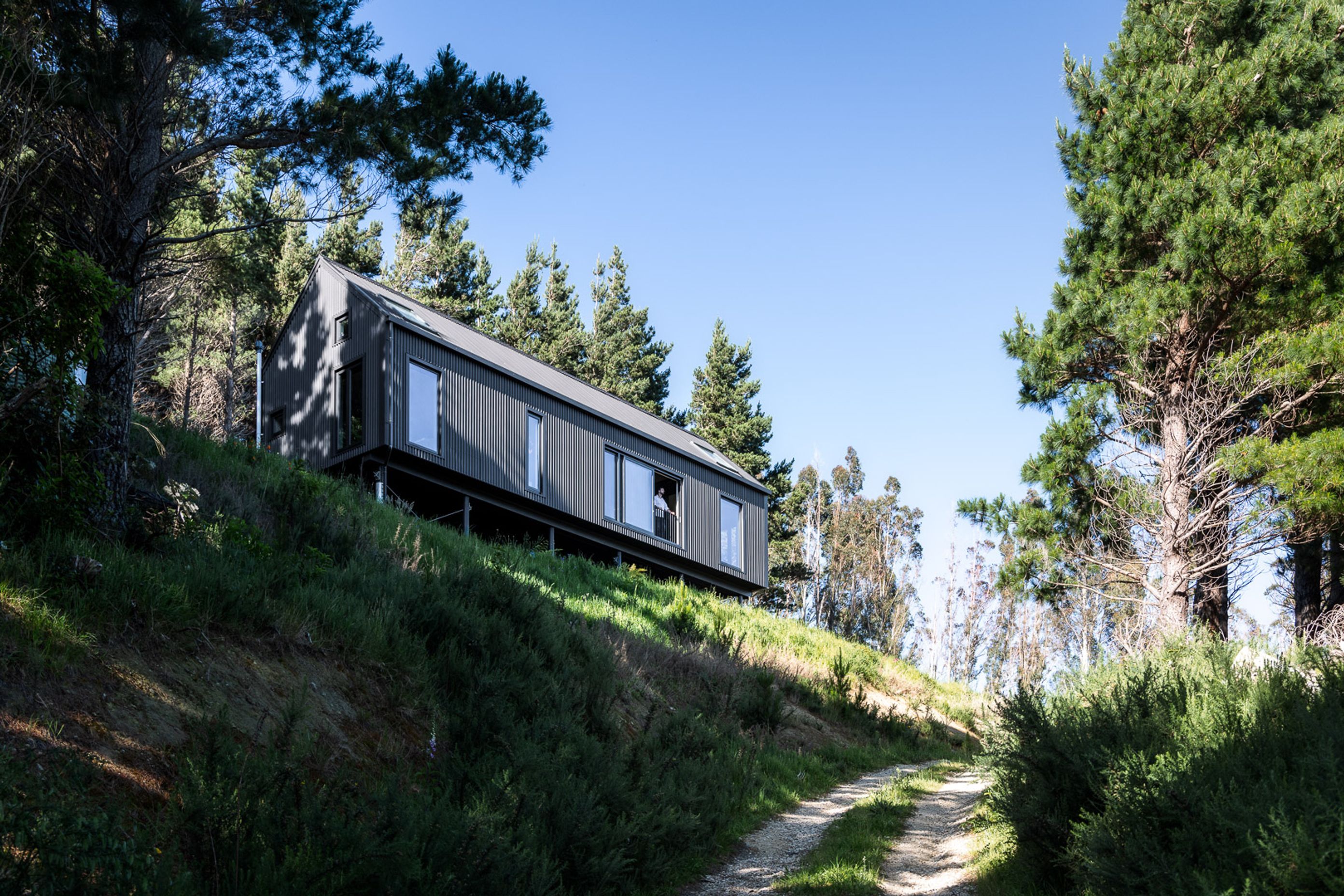 Embracing the stunning Wairarapa views