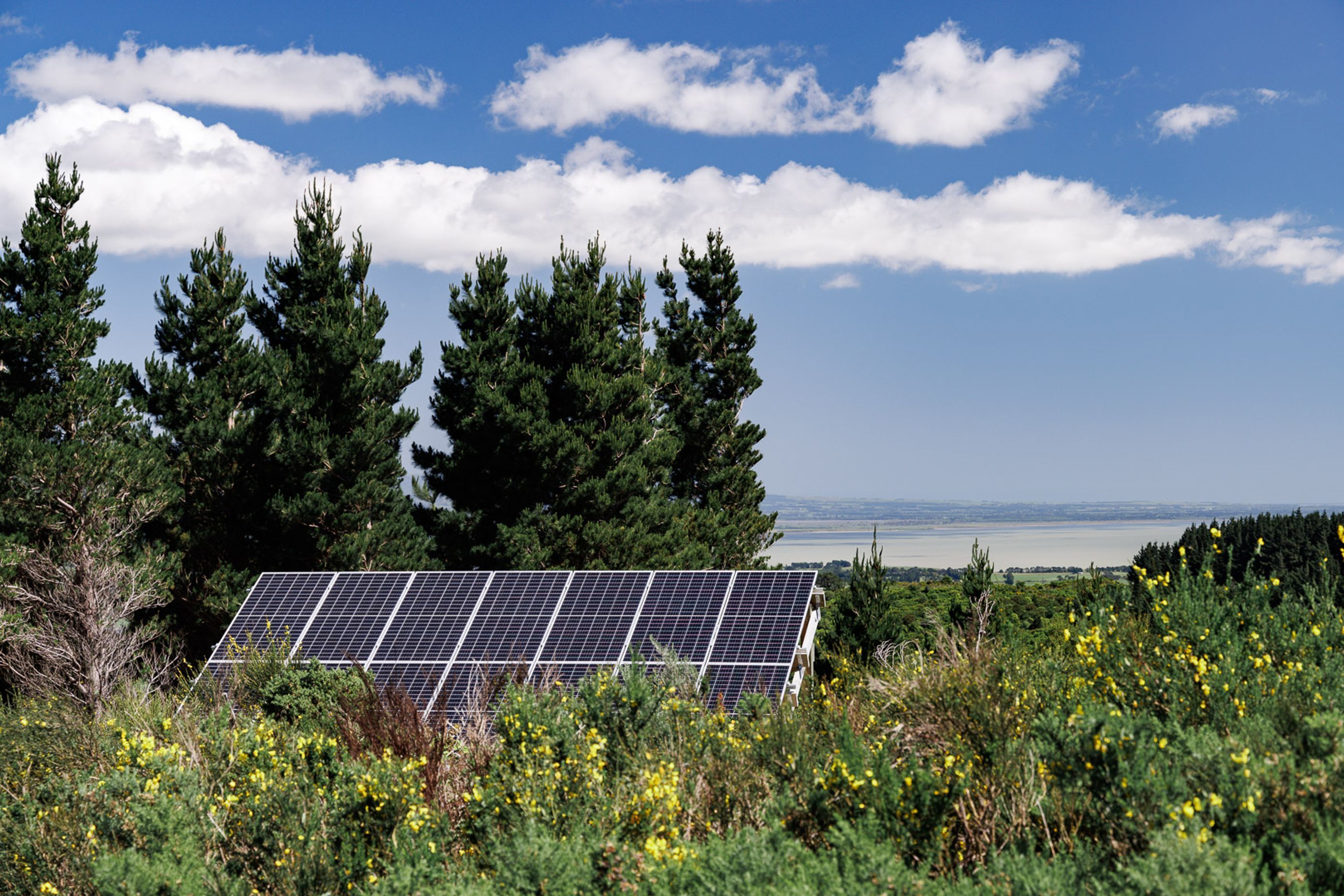 Solar panels located at the highest part of the property to maximise sun exposure.