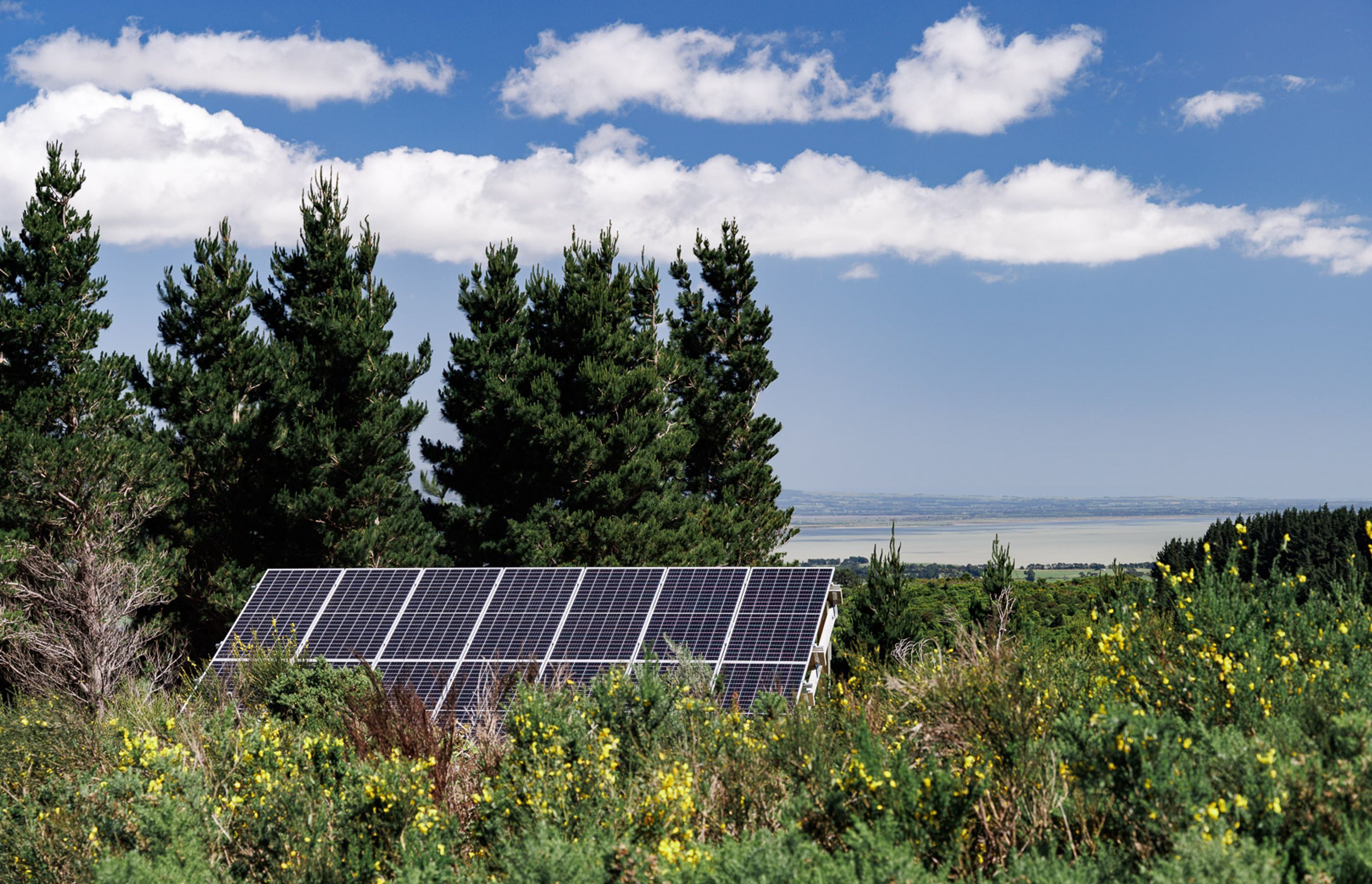 Solar panels located at the highest part of the property to maximise sun exposure.