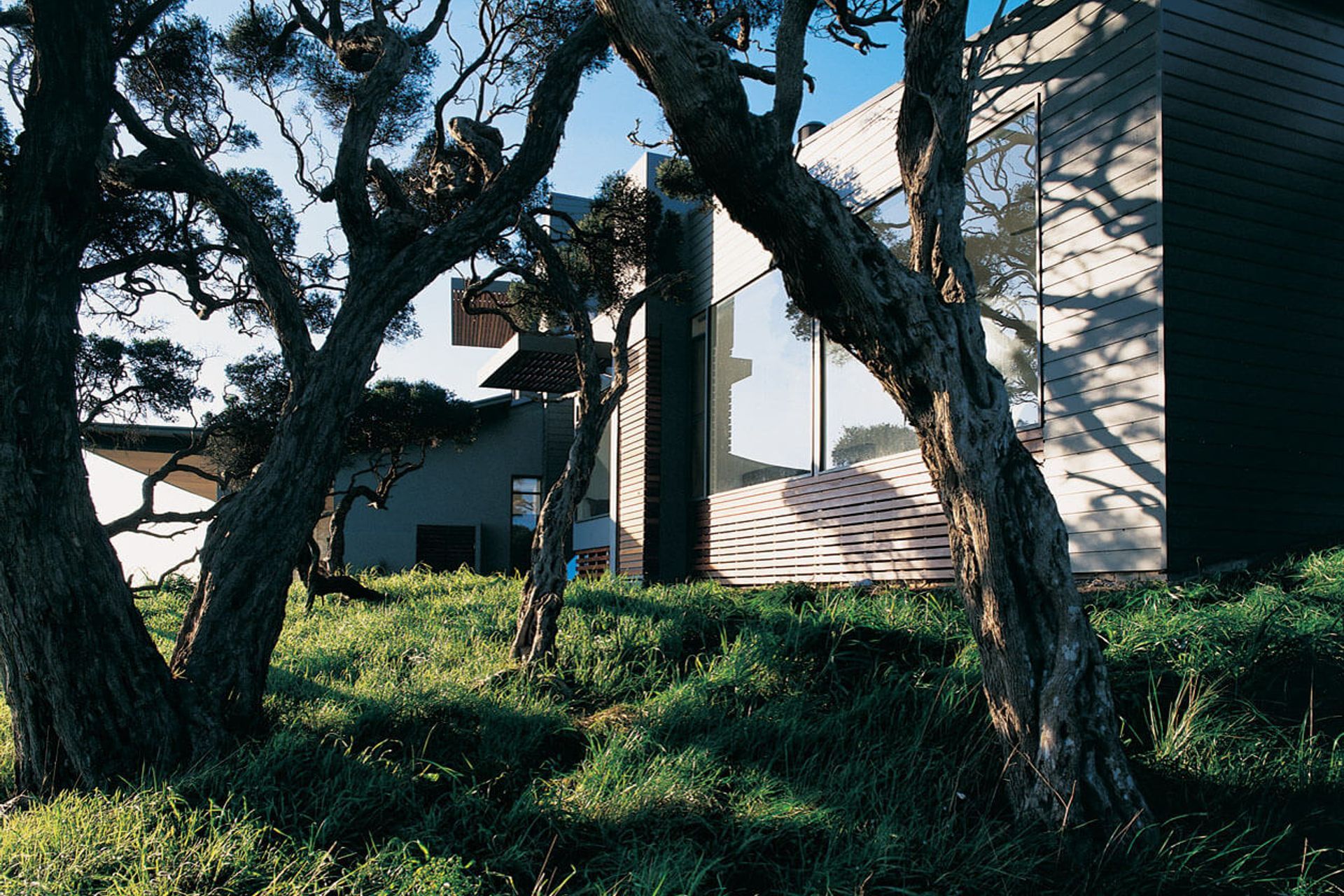 Links House Cape Schanck