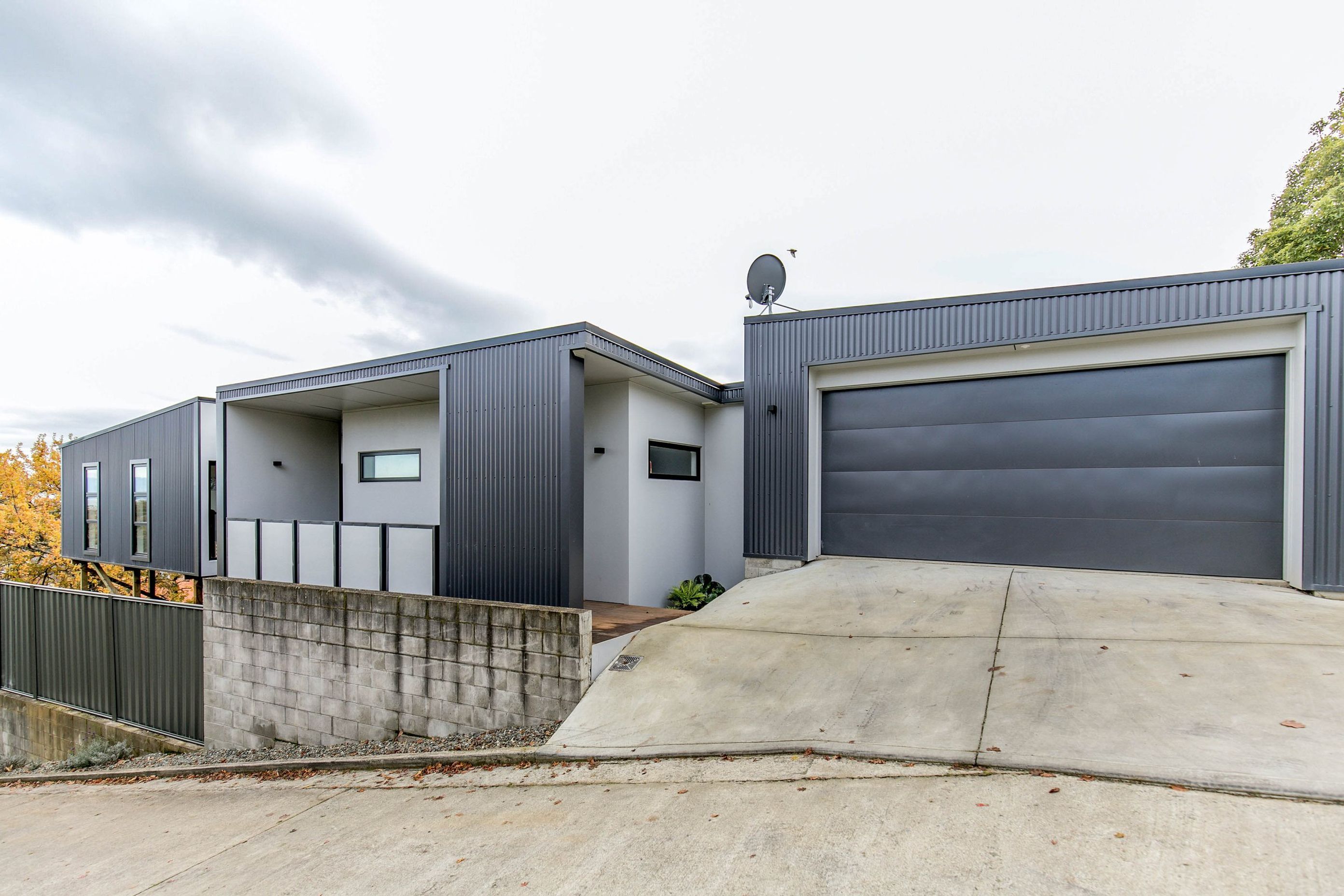 Project Tahunanui