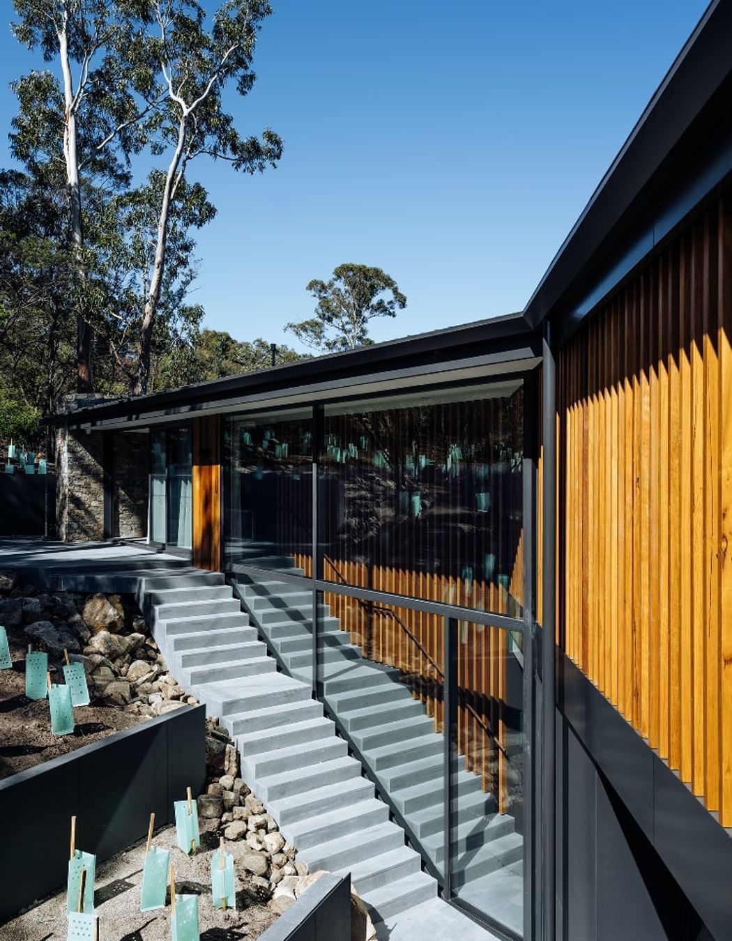 Stringybark Residence