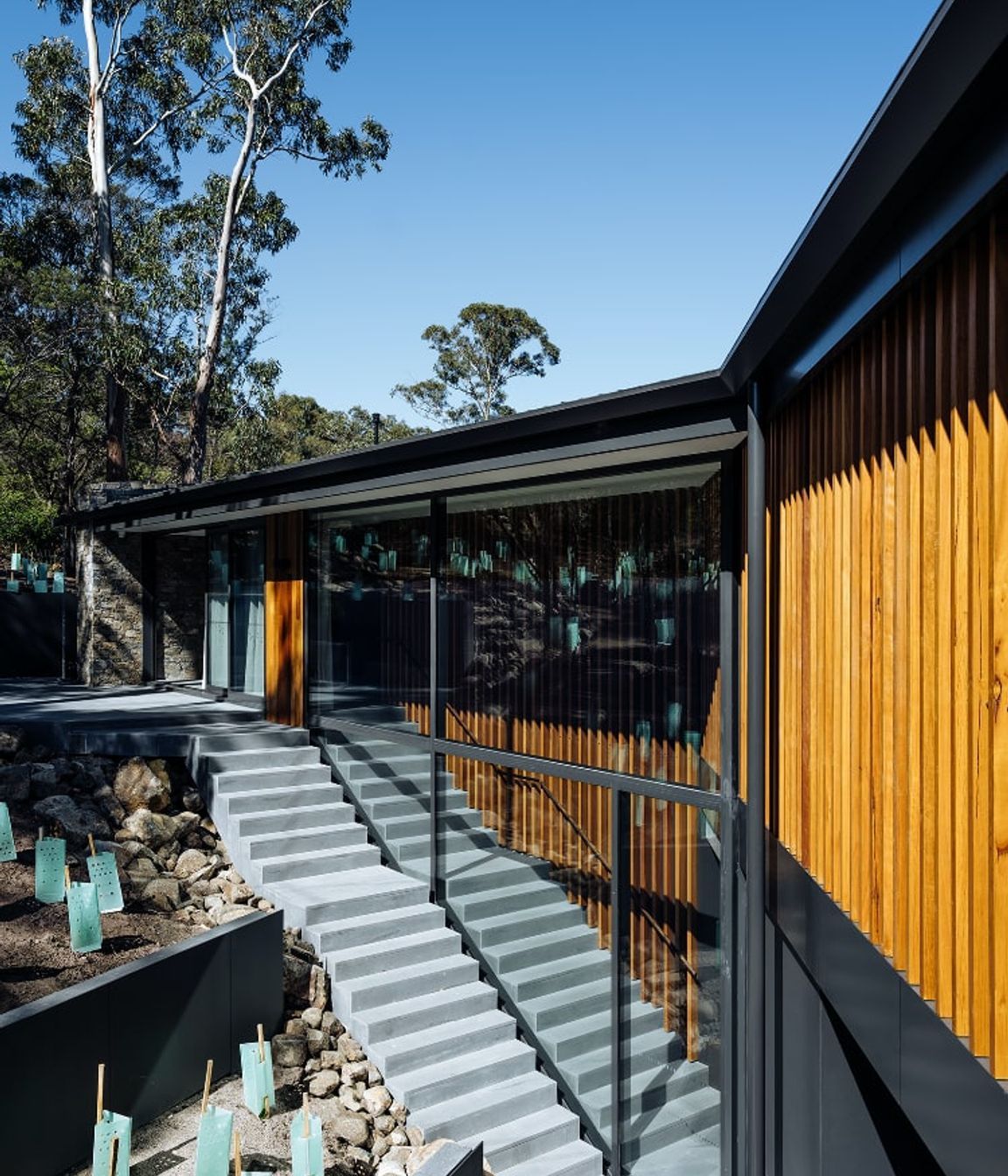 Stringybark Residence
