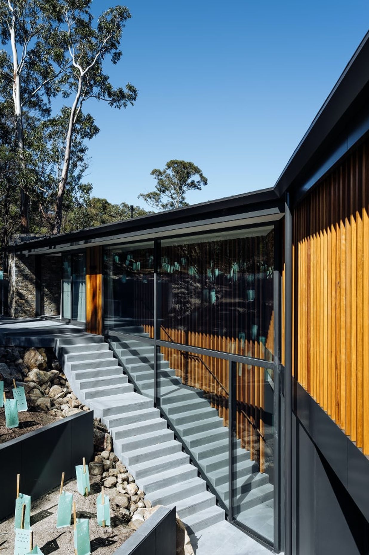 Stringybark Residence