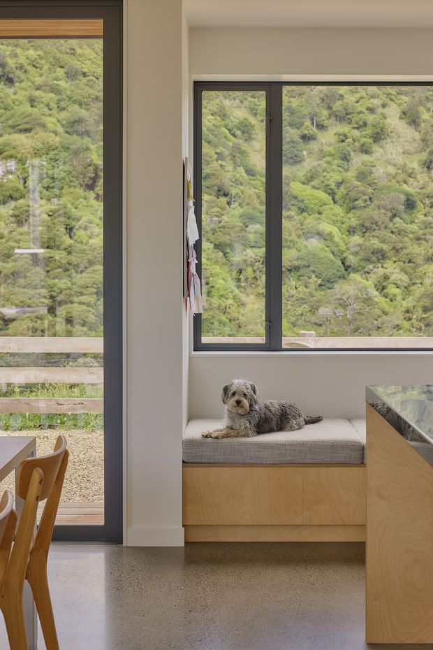 A bright contemporary interior corner with expansive dark-framed glazing overlooking a lush wooded hillside. A built-in timber window seat with a grey upholstered cushion sits beneath the window, while the edge of a timber kitchen island and a dining chair are visible. The space has warm neutral walls, polished grey concrete flooring, and a calm connection to the surrounding landscape.