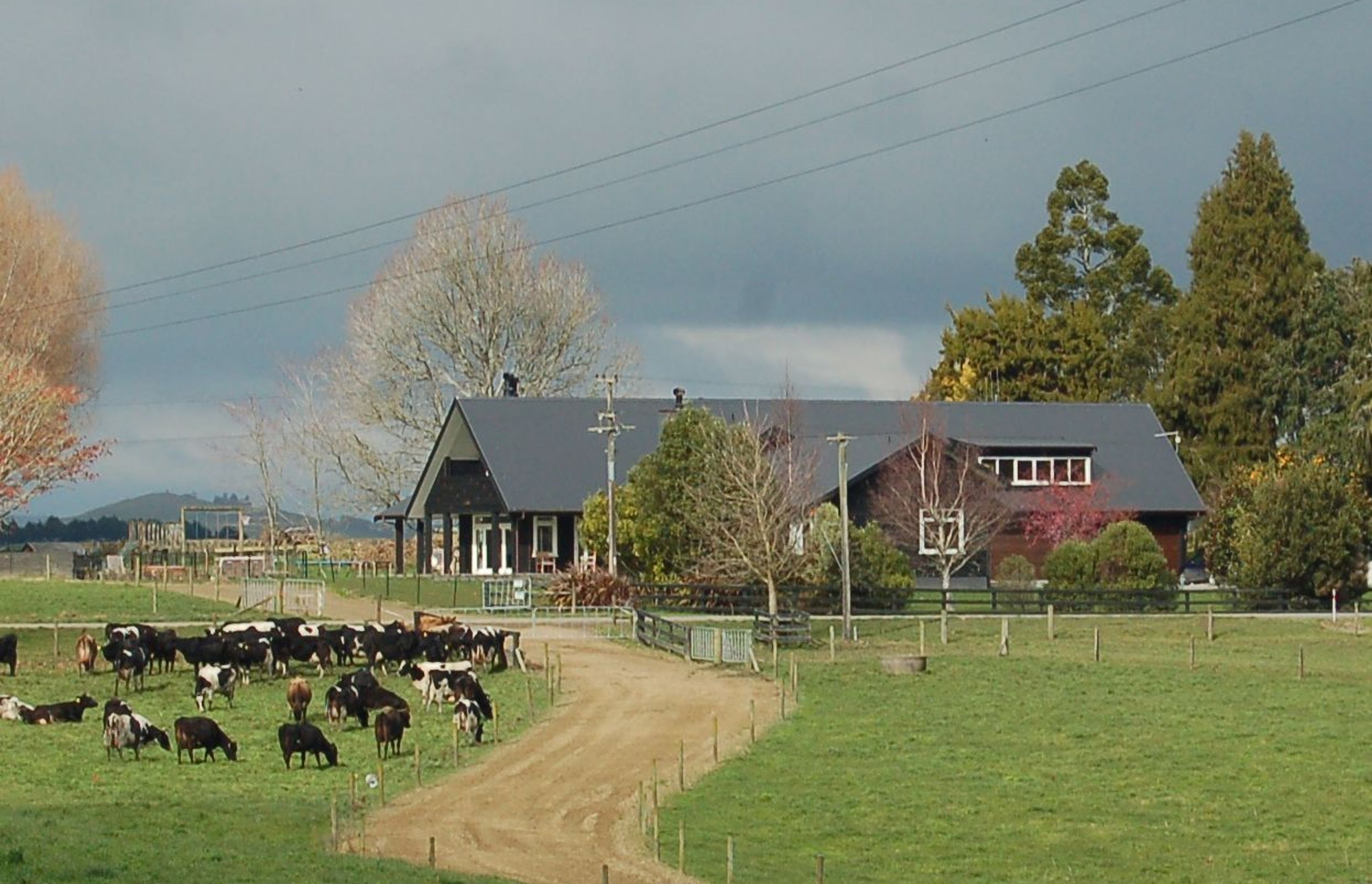 Te Awamutu Farm House