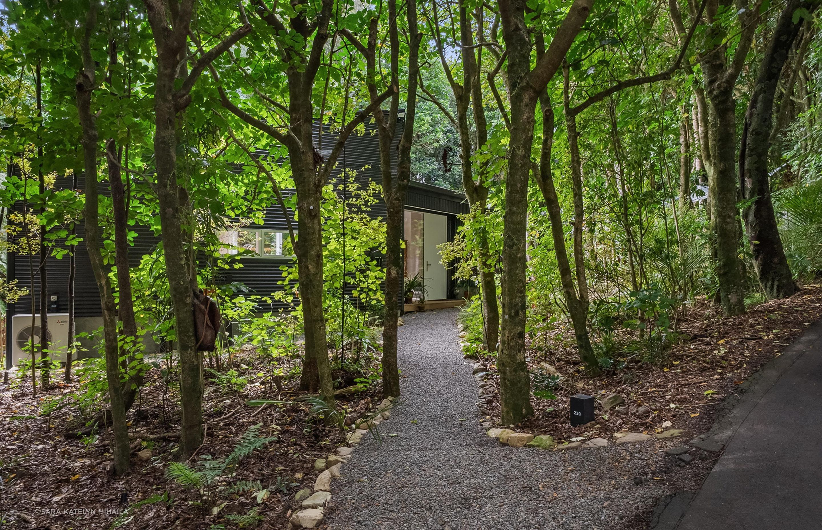Tree-house-entrance-pod-style.jpg