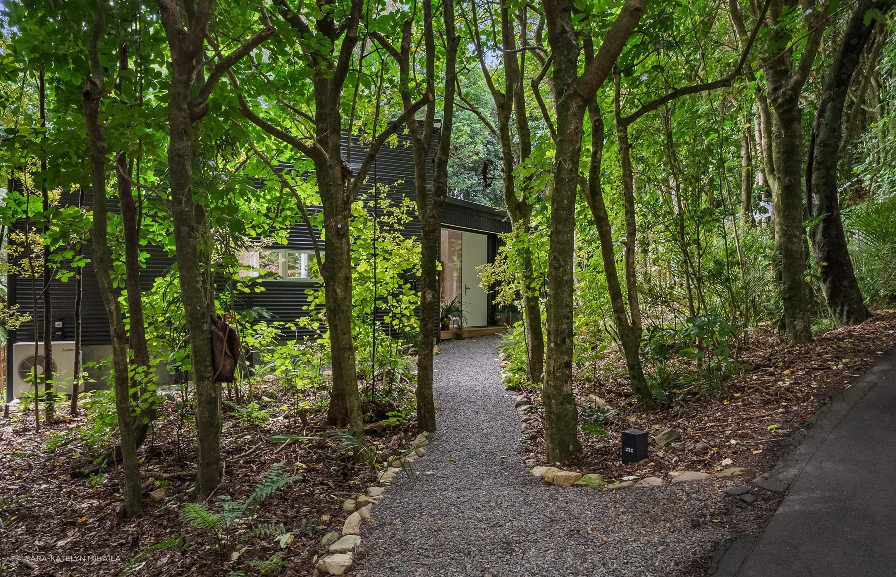 Tree-house-entrance-pod-style.jpg