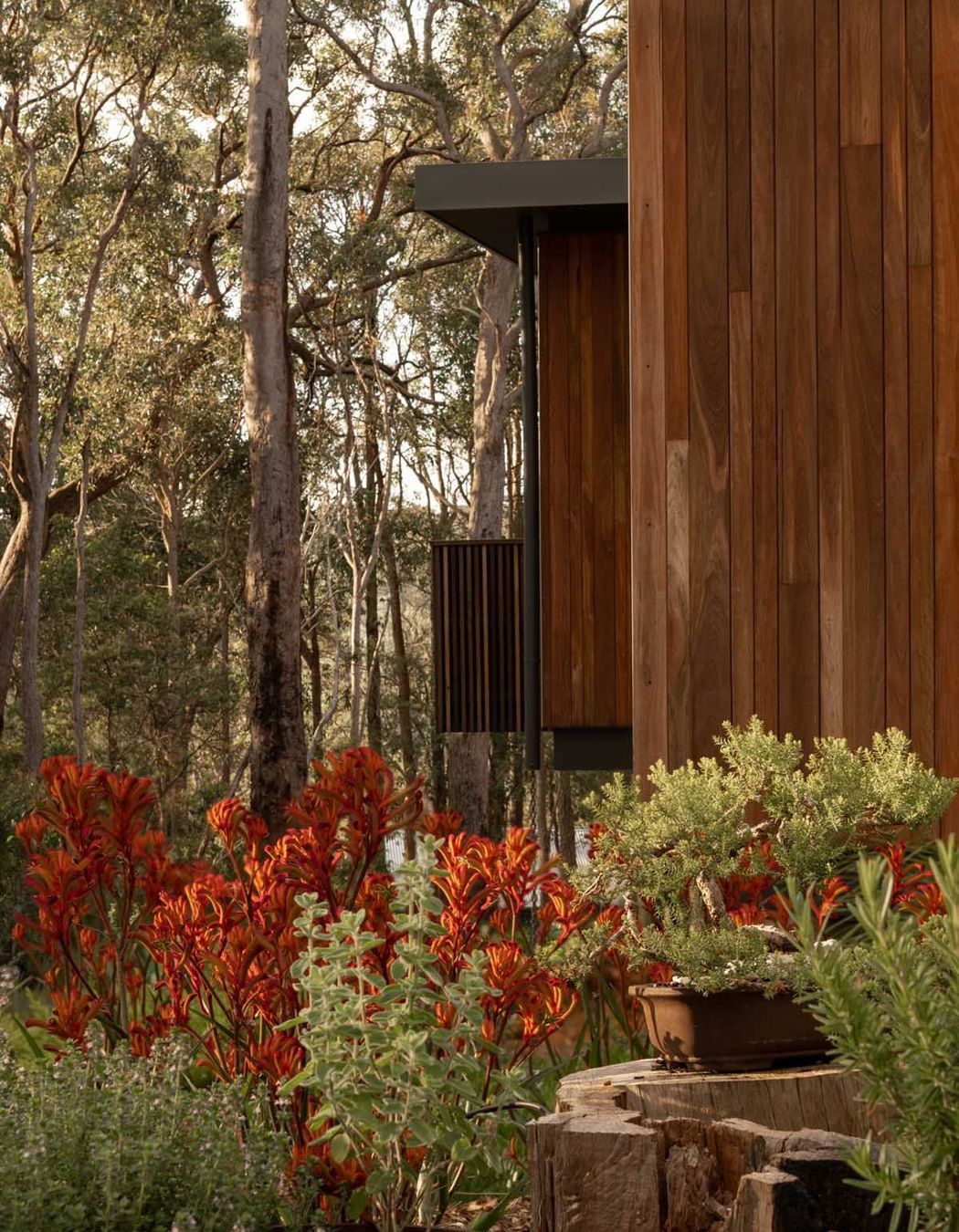 Treehouse Margaret River