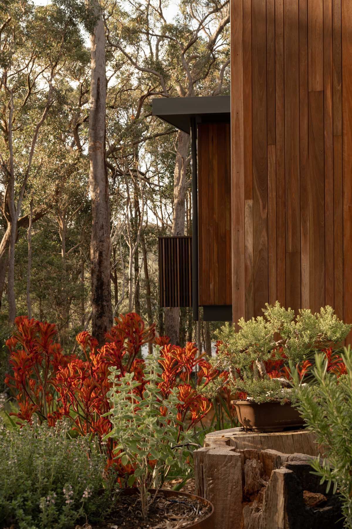 Treehouse Margaret River