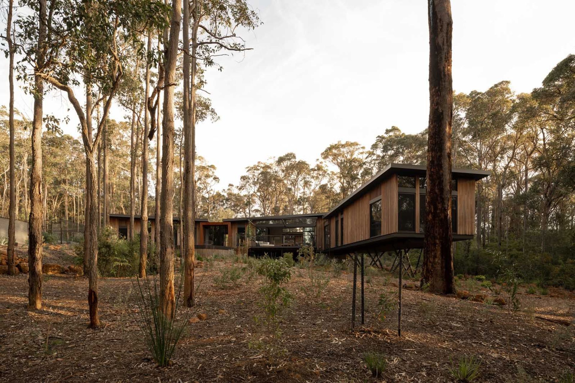 Treehouse Margaret River