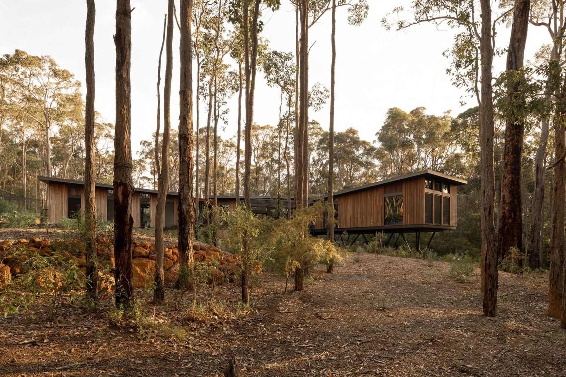 Treehouse Margaret River