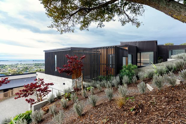 A contemporary dark-clad house viewed from a landscaped hillside, with strong vertical screening, flat roof forms, large windows, and layered outdoor planting. The property overlooks a broad coastal or urban landscape in the distance, while mature trees and drought-tolerant shrubs frame the foreground.