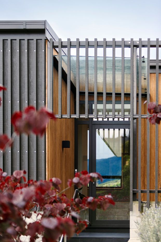 A close-up exterior view of a contemporary residential entry. The facade combines vertically ribbed grey cladding, warm vertical timber boards, dark-framed glazing, and a projecting grey pergola or screen of repeated vertical fins over the entry. A glazed front door reflects the surrounding landscape, while red foliage partially frames the foreground.