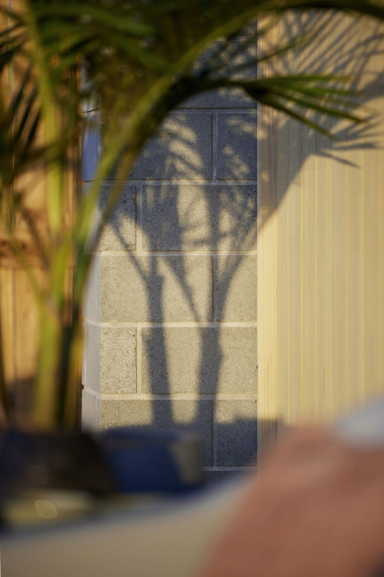 Exterior Brick