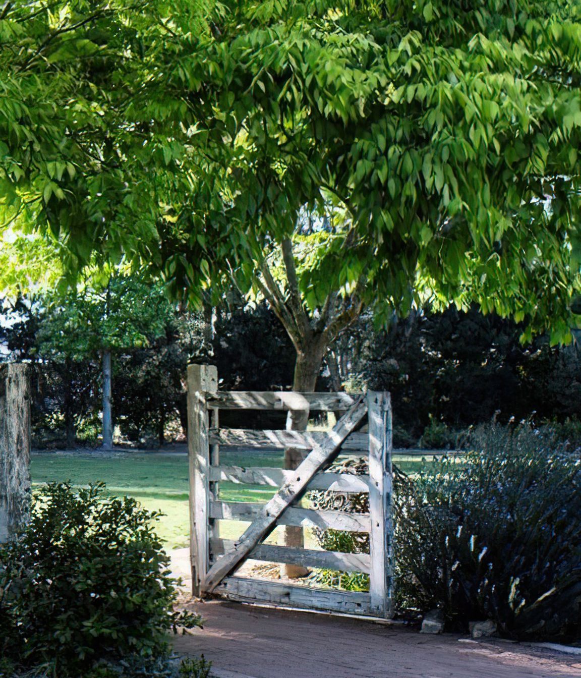 Highlands Estate