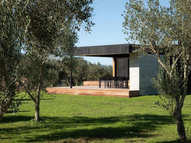 A compact modern pavilion set within a landscaped olive grove. The single-storey structure has a flat roof with dark vertical cladding, pale masonry walls, extensive open glazing or an open-sided terrace, and a raised timber deck with outdoor dining furniture. Green lawn and mature olive trees surround the building.