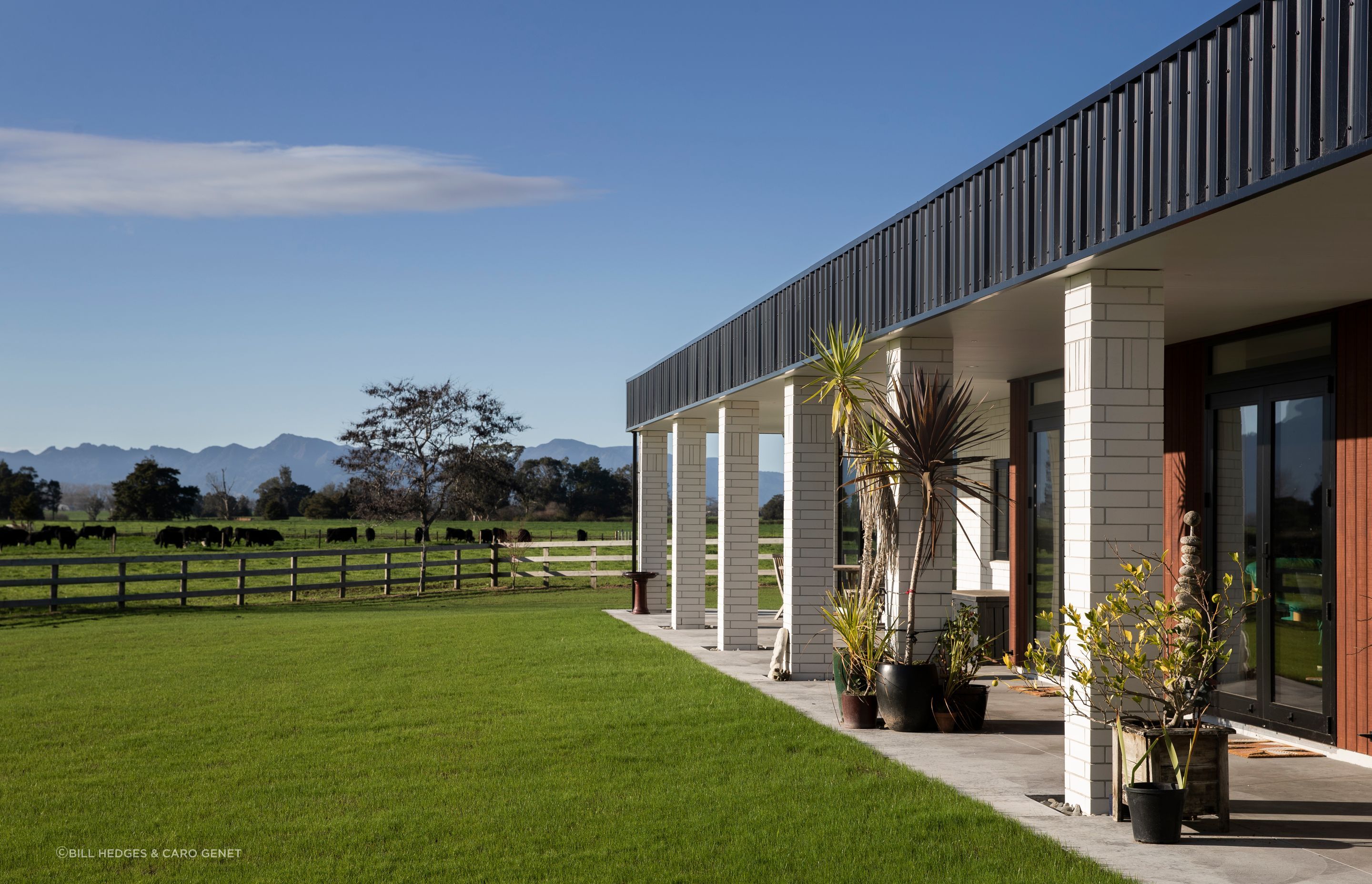 Waikato - Coopers Corner