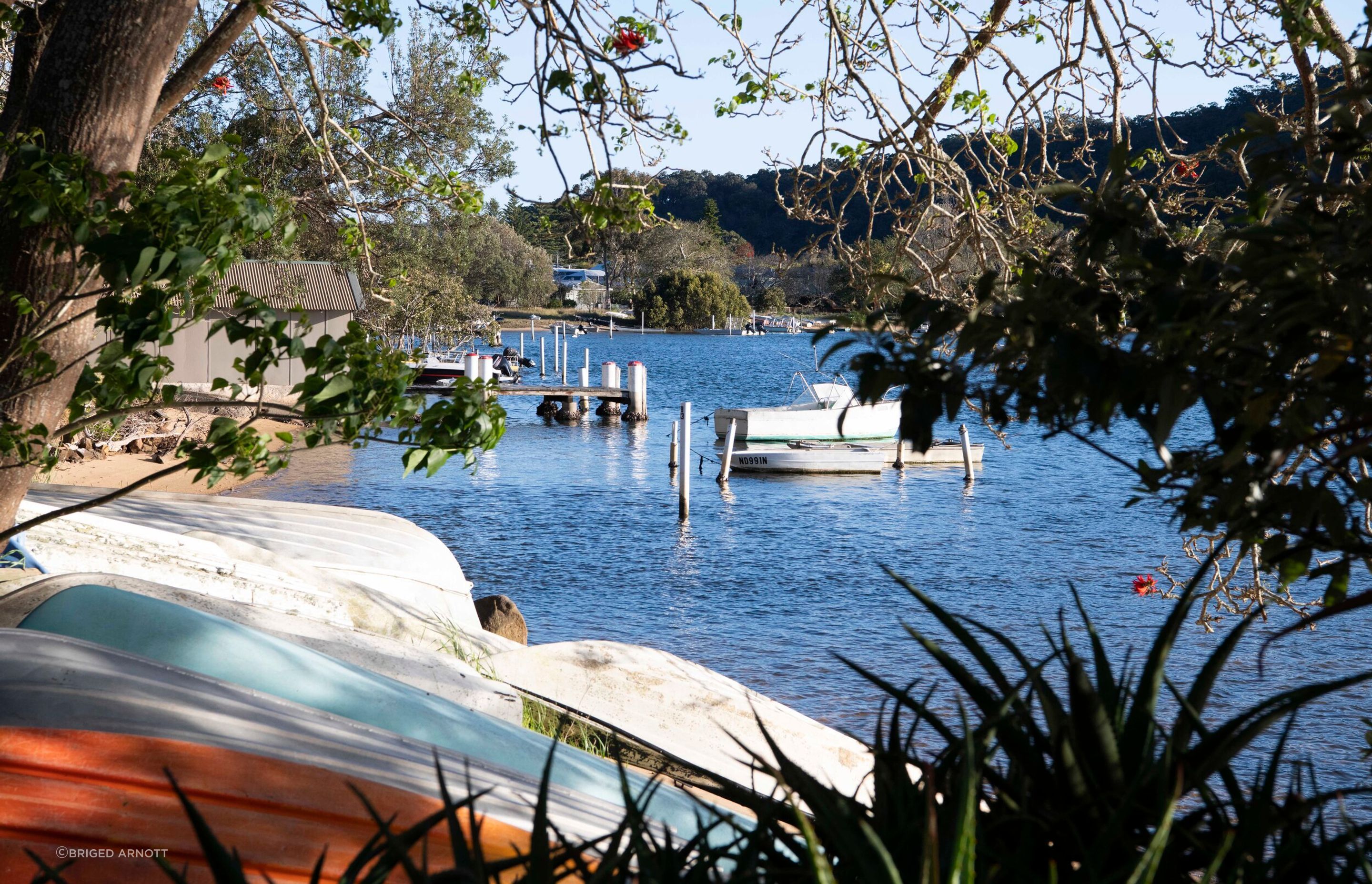 patonga-cottage04.jpg