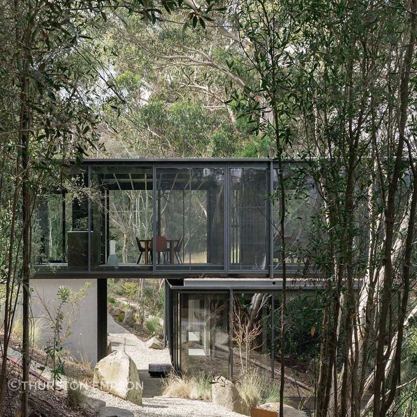 te2412ArchierTaroona001.jpg