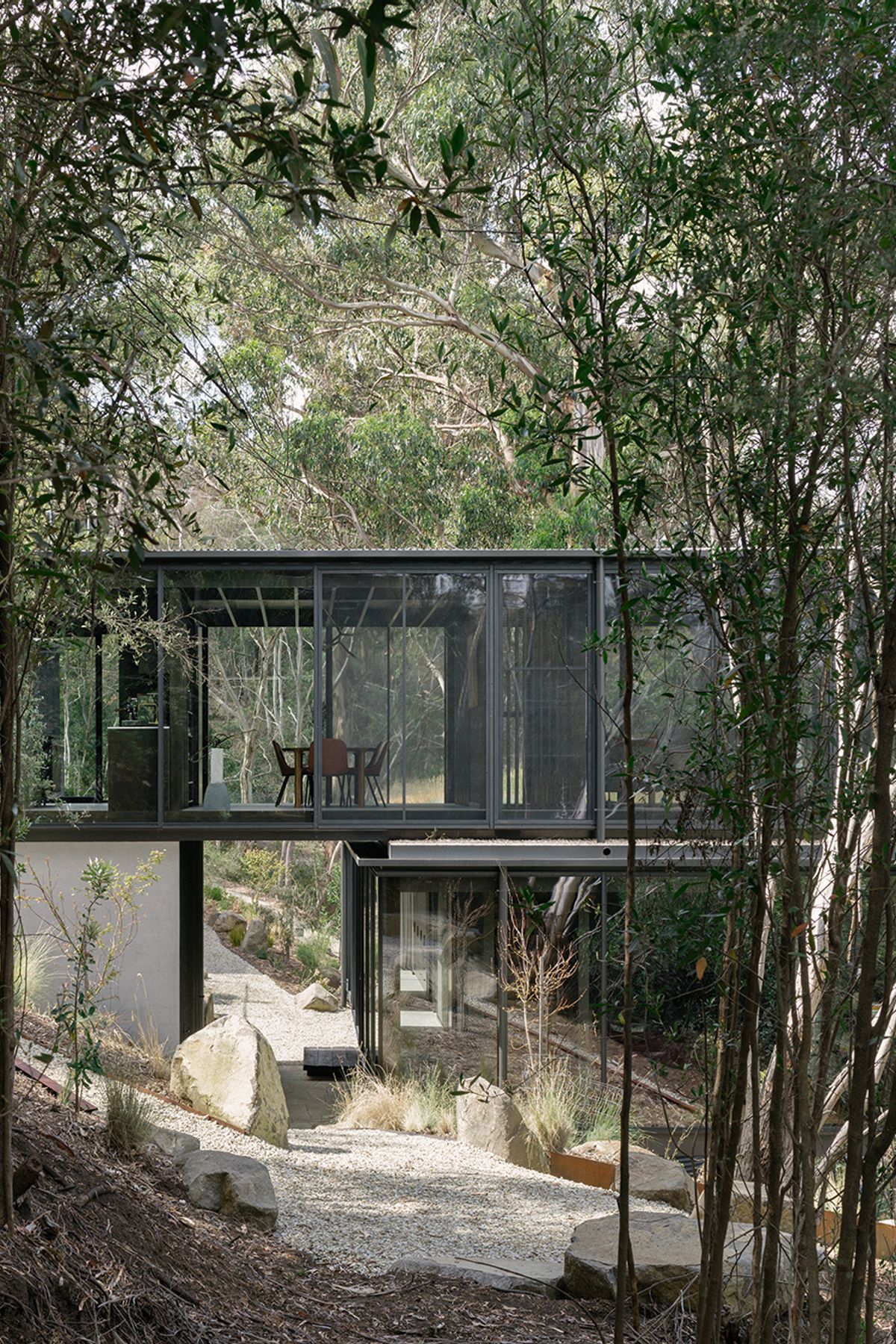te2412ArchierTaroona001.jpg