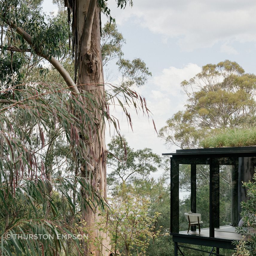 te2412ArchierTaroona010.jpg