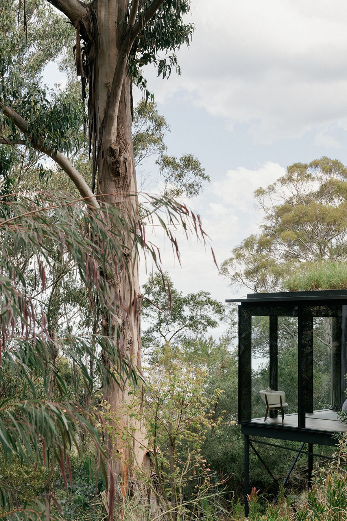 te2412ArchierTaroona010.jpg