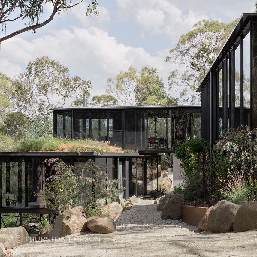 te2412ArchierTaroona018.jpg